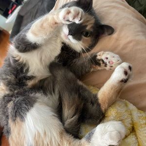 Meet your Posher, Kamryn